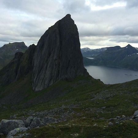 Fjordgård Leilighet A Eksteriør bilde